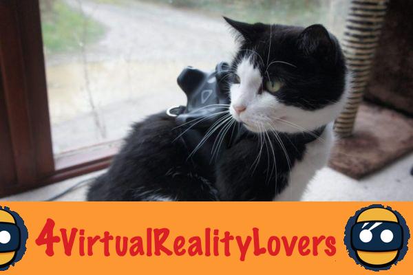 Píxeles triangulares: lleva a tu gato a la realidad virtual con VIVE Tracker